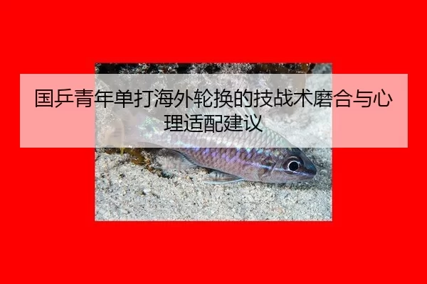 国乒青年单打海外轮换的技战术磨合与心理适配建议