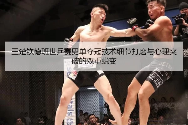 wang-chu-qin-de-ban-shi-ping-sai-nan-dan-duo-guan-ji-shu-xi-jie-da-mo-yu-xin-li-tu-po-de-shuang-chong-tui-bian-2-499.jpg